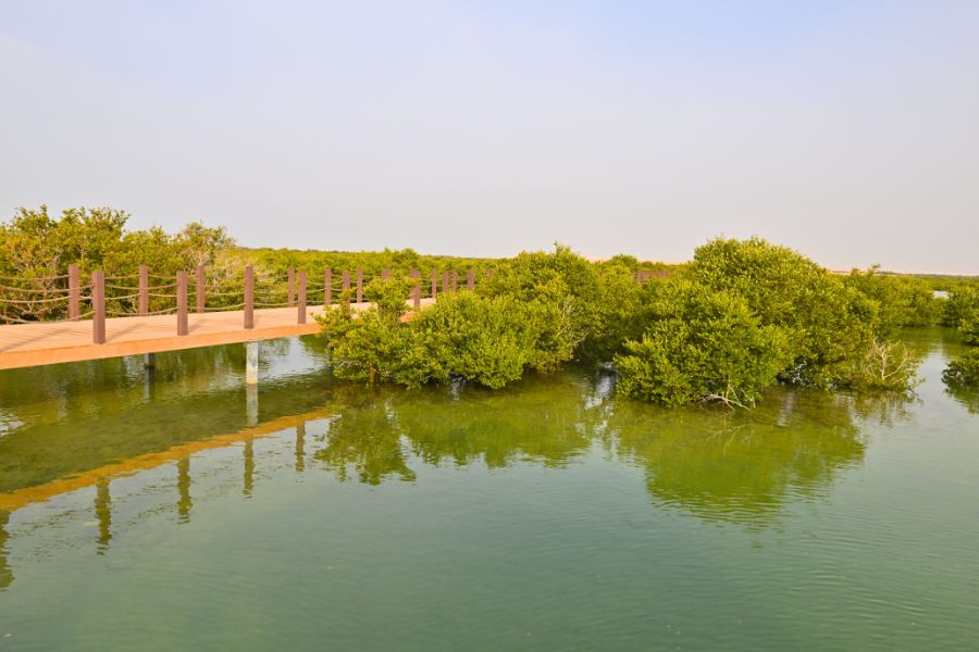 Explore Stunning Destinations Just a Short Drive from Doha on Your Weekend Getaway