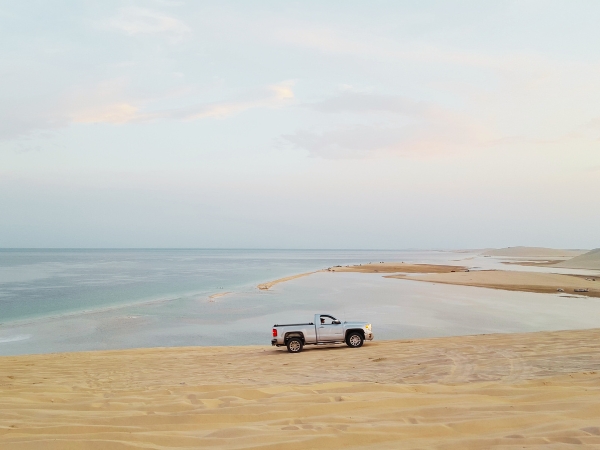 Desert Safari vs Renting an SUV in Qatar – What’s Better?